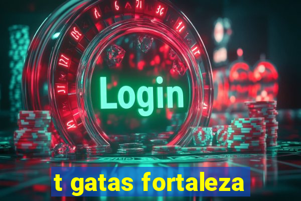 t gatas fortaleza